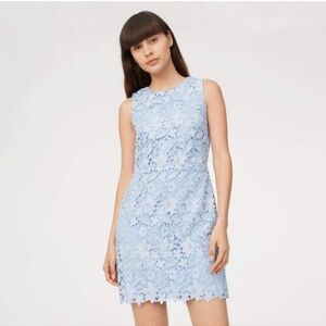 Club Monaco Light Blue Lace Sheath Dress